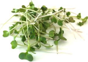 microgreens health benefits